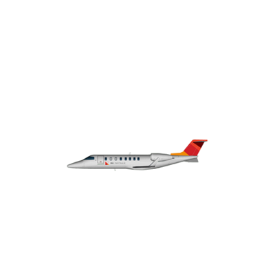 MK Partnair Fleet Private Jet Bombardier Learjet 45 xr Icone