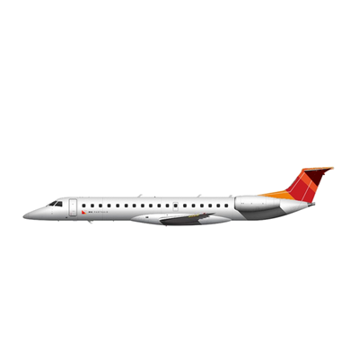 MK Partnair Fleet Private Jet Legacy 650 Icone