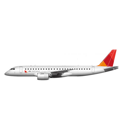 MK Partnair Fleet Private jet Lineage 1000 Flat icon