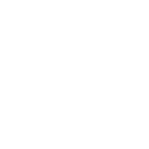 + 2000<br />
flights