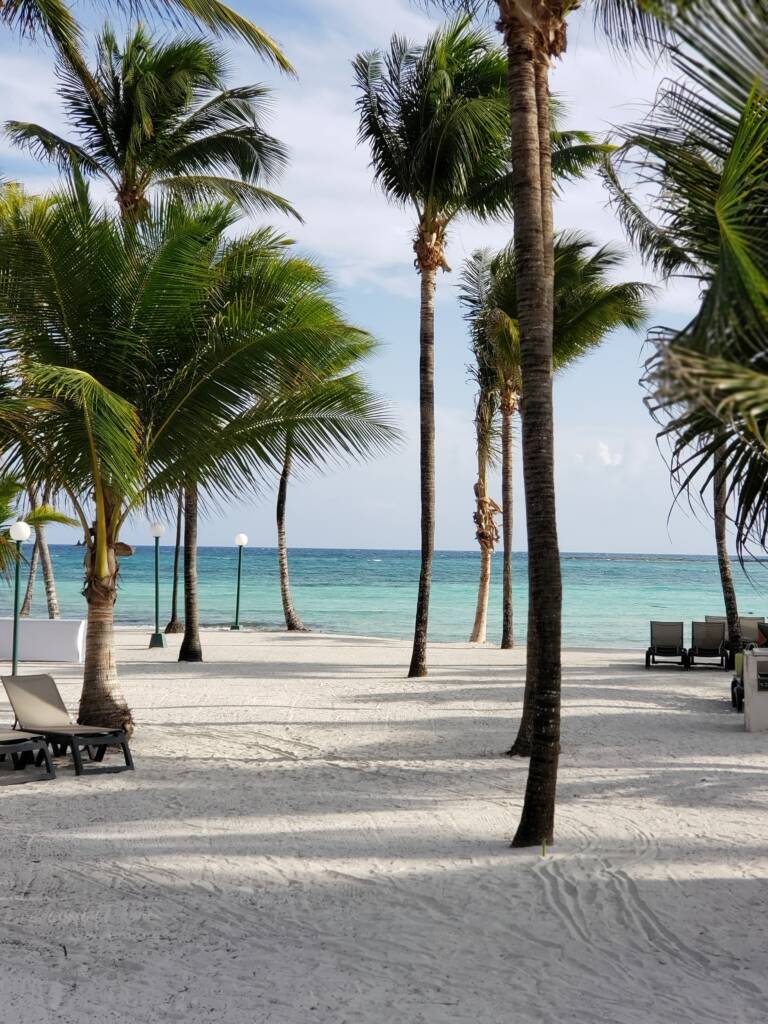 Photo Prise à Cancun, on peut apperçevoir la plage avec le spalimiers et le sable blanc - Idée destination pour le nouvel an - Mk Partnair - Jet privé
